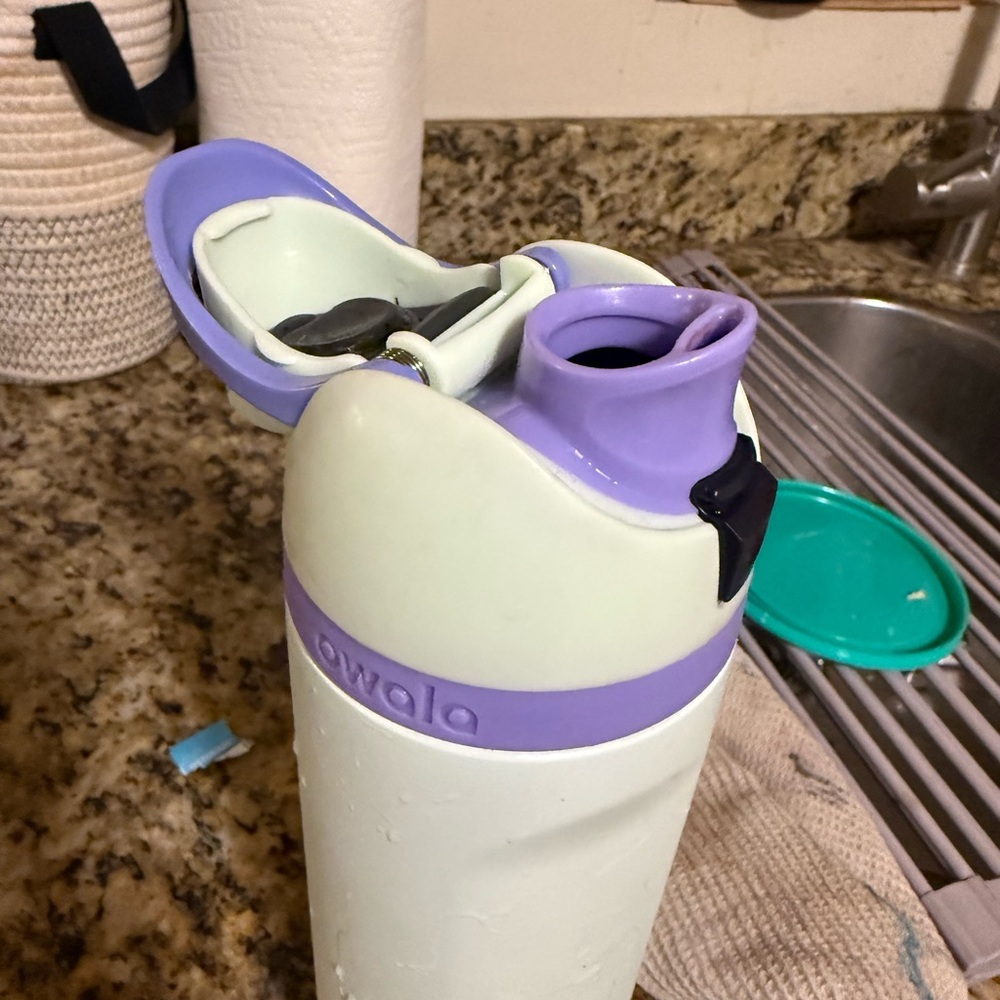 Owala Light Mint Green and Purple Water Bottle - Picture 5 of 6